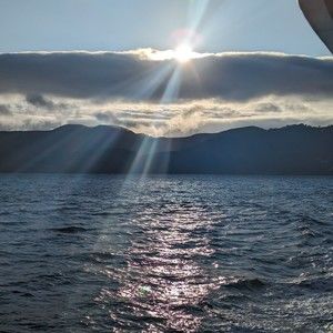 Meet your Posher, Nellie